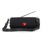 Gembird Draagbare BT speaker Zwart + FM Radio