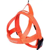 EzyDog Quick Fit tuig S Oranje