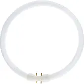 Philips Ronde TL 32W/840 TLE Coolwhite 5900612