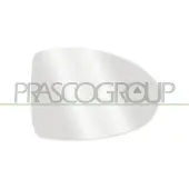 PRASCO FT0347523 Spiegelglas, buitenspiegel
