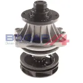 BOGAP B4234100 Waterpomp