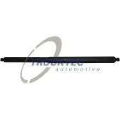 TRUCKTEC AUTOMOTIVE 02.62.005 Gasveer achterklep
