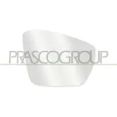 PRASCO VG7707513 Spiegelglas, buitenspiegel