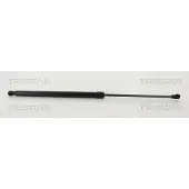 TRISCAN 8710 42245 Gasveer achterklep