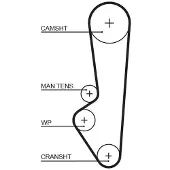 Gates T107RB Distributieriem