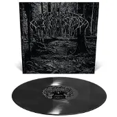 Suburban Wolves in the Throne Room