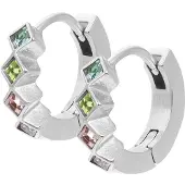 Ixxxi Oorringen Blossom | Zilver