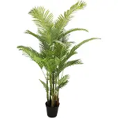 Buitengewoon Boet Kunst Areca palm - 190 cm