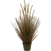 Buitengewoon Boet Kunst Stekelkamgras in pot 90 cm - bruin-groen