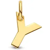 The Jewelry Collection Geelgouden Hanger letter Y 4023476