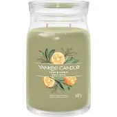 Yankee candle sage en citrus signature large jar |