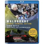 Warner Music Waldbuhne 2015