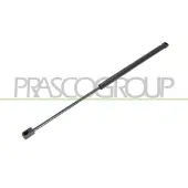PRASCO PG3209055 Gasveer achterklep
