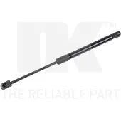 NK 11025019 Gasveer achterklep
