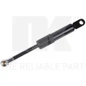 NK 11039017 Gasveer achterklep