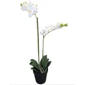 Mica Decorations kunstplant Phalaenopsis Orchidee wit H67cm D25cm