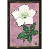 MEA Lijstje hout zwart Helleborus niger, 34x23,5cm