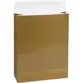 Rotim 25x Cadeauzakken Goud Glossy Medium - 19x7x24cm