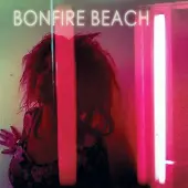 Import Bonfire Beach