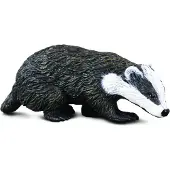 Collecta Figurine - Europees-Aziatische Das - (S) - Bosdieren - Handgeschilderd - Miniatuur