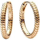 Pandora Moments - Oorbellen Voor Dames