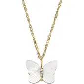 Fossil Ketting goud / zilver