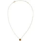 Daniel Wellington Audrey - Dames Choker - goudkleurig