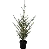 Sirius LED boom Milas Cedar Tree in pot, voor buiten, groen, Kunststof