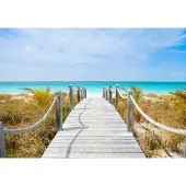 Karo-art 460cm X 300cm - Fotobehang - Pad naar blauwe zee, premium print, inclusief behanglijm