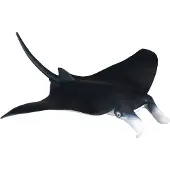 Collecta Figurine - Manta Rog - (M) - Zeedieren - Handgeschilderd - Miniatuur