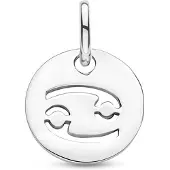 The Jewelry Collection Zilver Gerhodineerde Hanger sterrenbeeld kreeft 1333697