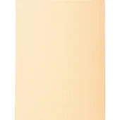 Exacompta Forever Sorteermap A4 Crème Manila 100% gerecycled 170 g/m² 100 Stuks