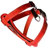 EzyDog Chest Plate tuig XS Rood