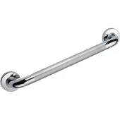 Overig Ridder Badgreep Sam M 45cm Met Antislip Oppervlak Rvs Glanzend