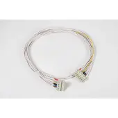 Prolumia Kabelboom 8p + male/female connector 1.5m | 40640423