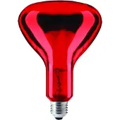 Schiefer E27 Infrarood Lamp | 100W 220V/240V R95