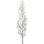 Kare design Kapstok Ants On A Tree Groot
