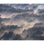 Overig Fotobehang Rays - Meerkleurig - 2,50m X 300cm