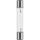 Schiefer SF6 Gloeilamp | 3W 24V 125mA 2500K | 6x36mm | 10 stuks