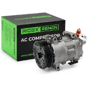 RIDEX 447K0254R Aircopomp