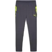 Puma Sportbroek 'IndividualCUP' grijs / limoen