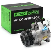 RIDEX 447K0670R Aircopomp