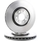 Brembo Remschijf 09.9365.21