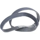 CONTITECH Multiriem 6PK1059ELAST Contitech voor o.a. FORD, VOLVO