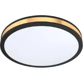 Eglo Plafondlamp Led Pescaito Zwart 24w
