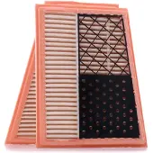 FILTRON Luchtfilter AP034/4-2x