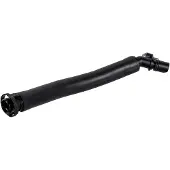 FEBI BILSTEIN Slang, ontluchting motorblok 179744