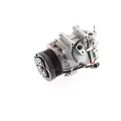 AKS DASIS 851835N Aircopomp