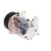 AKS DASIS 853102N Aircopomp