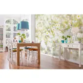 Overig Komar Fotobehang Daisies